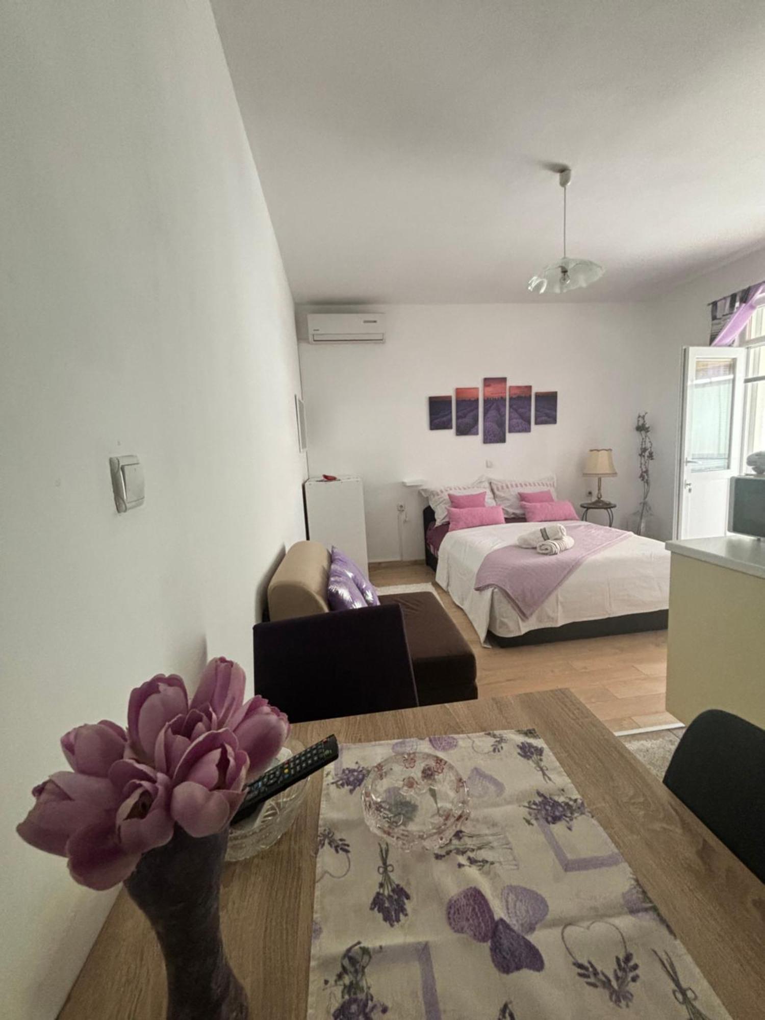 Apartments Ivana 비빈제 외부 사진